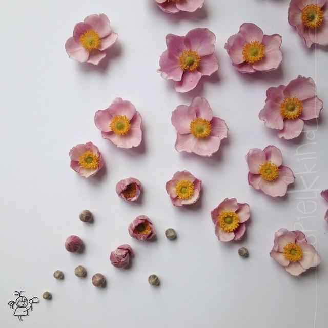 instagram-arte-flores-rosas