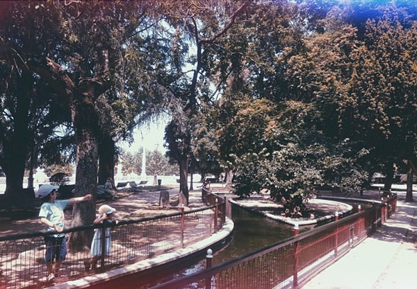 parque de rosalía