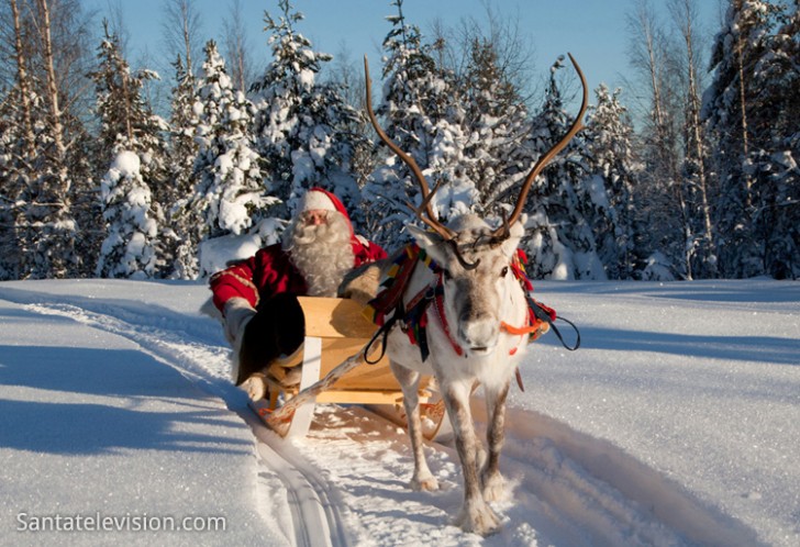 father_christmas_reindeer